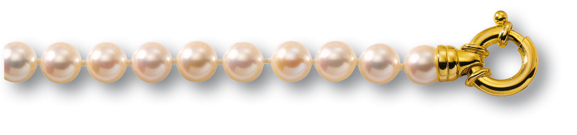 BRACELET 1RG AKOYA A 7.5-8 ORJ 18CT 3G20 – B1R80A-J