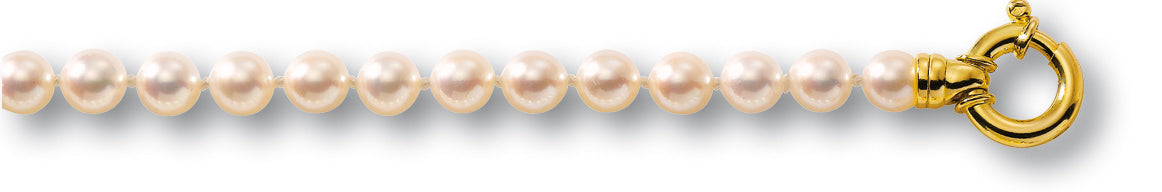 BRACELET 1RG AKOYA A 5.5-6 ORG 18CT 3G20 – B1R60A-G