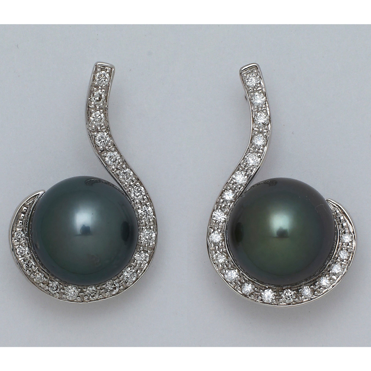 Tahitian Pearl Earrings