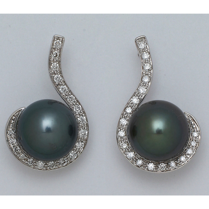 Tahitian Pearl Earrings