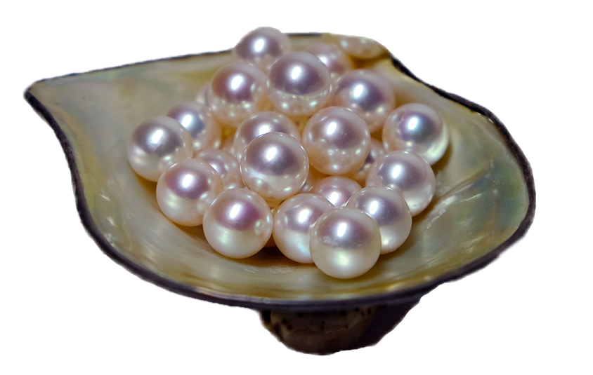 Perles Akoya