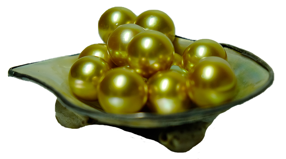 Perles des Mers du Sud